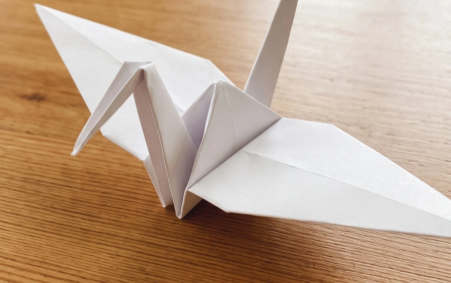 Feathered Tsuru CP