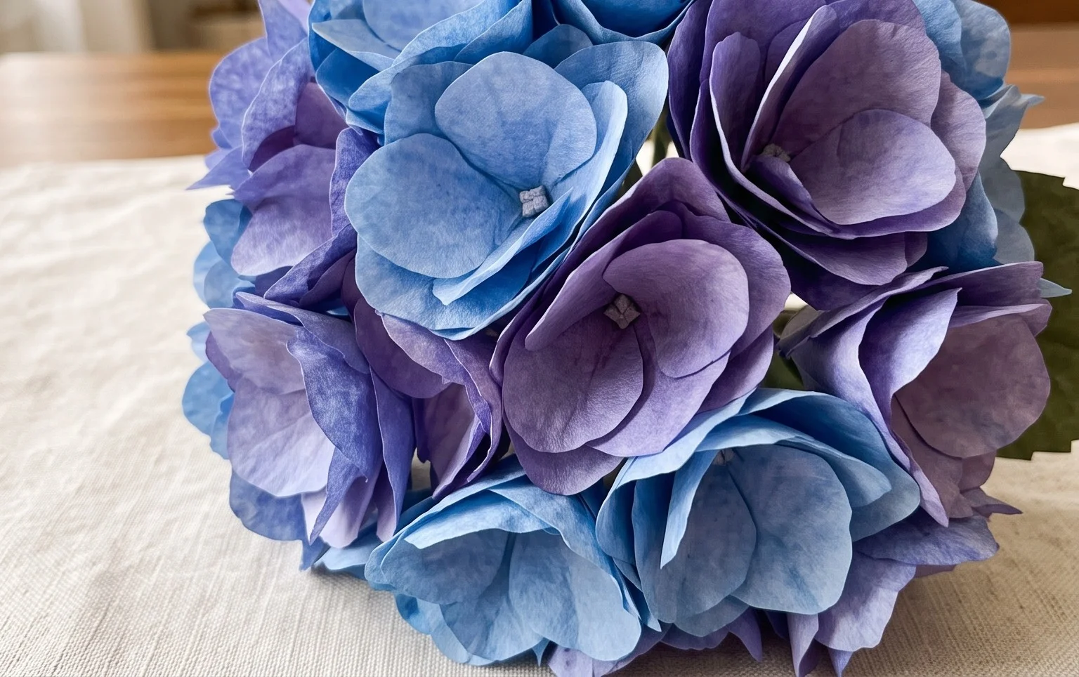 Coffee Filter Hydrangeas